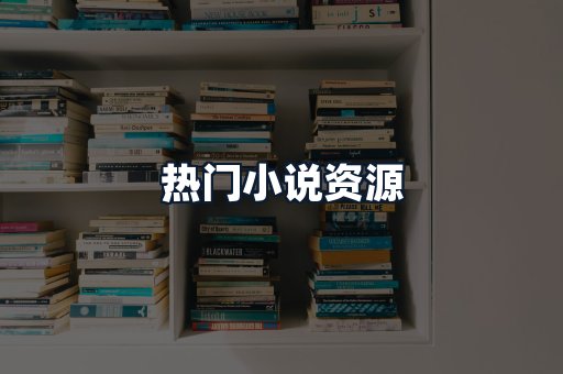 热门小说资源