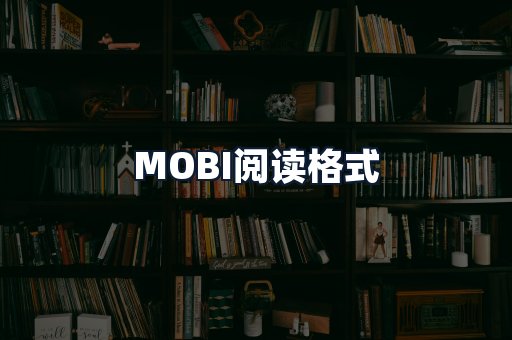 MOBI阅读格式
